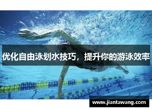 优化自由泳划水技巧，提升你的游泳效率