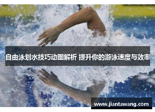 自由泳划水技巧动图解析 提升你的游泳速度与效率