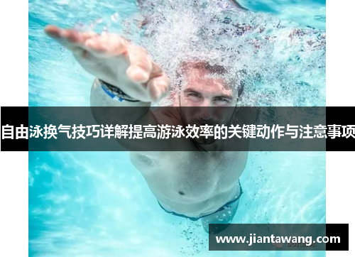 自由泳换气技巧详解提高游泳效率的关键动作与注意事项