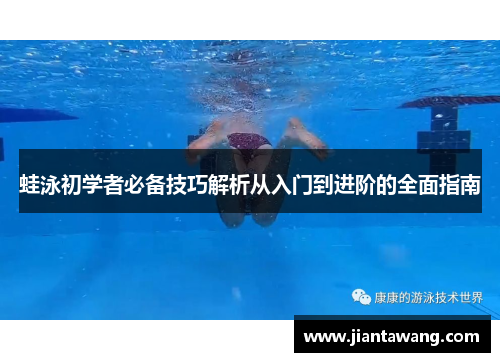 蛙泳初学者必备技巧解析从入门到进阶的全面指南