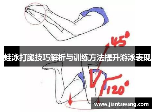 蛙泳打腿技巧解析与训练方法提升游泳表现