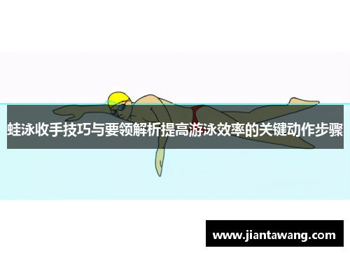 蛙泳收手技巧与要领解析提高游泳效率的关键动作步骤