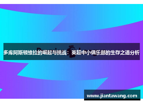 多库阿斯顿维拉的崛起与挑战：英超中小俱乐部的生存之道分析